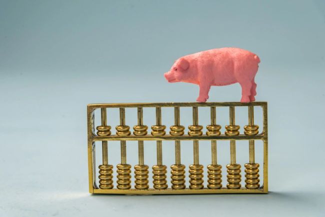 猪价跌至谷底，堂哥的猪栏空了