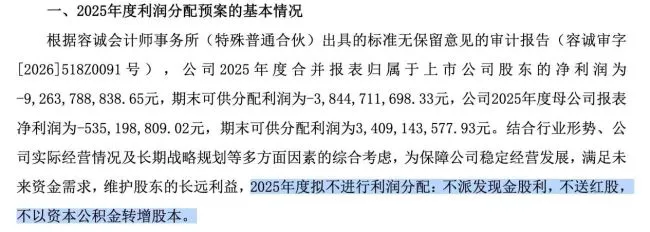 连续两年超90亿亏损，TCL中环孤注一掷