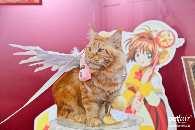 AI赋能宠物行业，带来增量市场