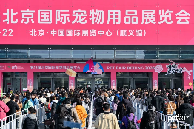 AI赋能宠物行业，带来增量市场