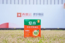 岱庙历史照片展疑现“AI生图” 网友热议真实性