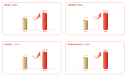兴业银行2025年报的AB面