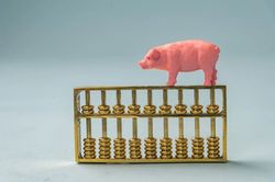 猪价跌至谷底，堂哥的猪栏空了