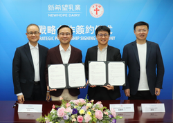 重磅！新乳业携手香港“十字牌”深化战略合作，强强联手共绘乳品行业高质量发展新蓝图