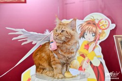 AI赋能宠物行业，带来增量市场