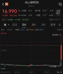 卖鞋的Allbirds转型AI算力，股价一度飙涨800