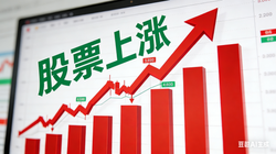 9天8板，谁在“炒作”华电辽能