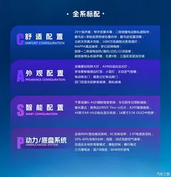 樊振东把竞技人生写成不同尺度的算法 洞察人性勇于质疑