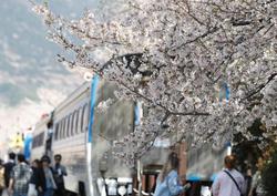 能源危机迫在眉睫！韩国特使海外紧急寻油，成功觅得三个月用量，能否解国内燃眉之急
