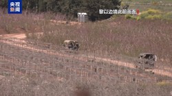 总台记者观察丨为继续与伊朗谈判 美强行推进黎以暂时停火