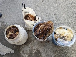 徐州居民家惊现巨型蜂巢！竟装满三桶一袋，场面太震撼，遇到千万别慌，专家教你安全处理