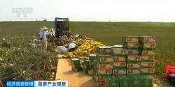 调查显示日本6月将有逾1000种食品涨价