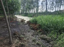 河南许昌：鄢陵县企业暗排污水违法占地问题需查处！