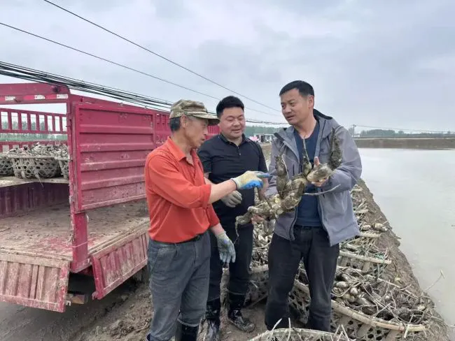 张海晖与栽藕工交流。记者张衡 摄