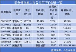 锂电新周期：储能驱动下的需求重构与分化