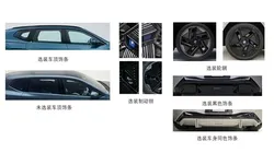 樊振东把竞技人生写成不同尺度的算法 洞察人性勇于质疑