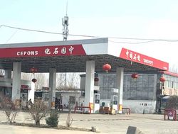 与中国石化高度相似 “中园石化”加油站被立案调查