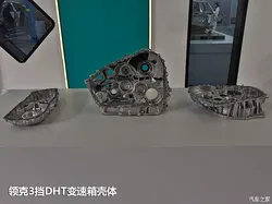 面对角黄素、散养蛋争议，消费者应如何“挑蛋”