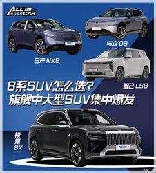 旗舰中大型SUV集中爆发，热门8系SUV怎么选