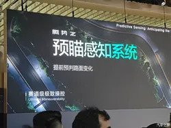泼水节竟成噩梦！独生女被卖园区细节骇人，节日变味背后黑暗重重，引发全网热议与深思