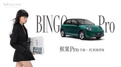 五门五座/空间更大 五菱缤果Pro官图发布