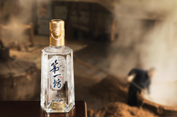 水井坊业绩回暖！一季度营收利润环比双增，经营企稳信号释放，白酒市场能否触底反弹