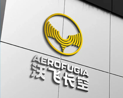 沃飞长空冲刺低空经济第一股，飞行汽车何时商用？政策技术安全三关，普通人还等多久