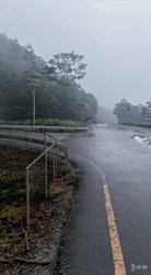 老外游玩《地平线 6》惊呼以假乱真，画面逼真离谱，根本分不清游戏与现实，画质逆天