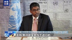 视频丨联合国官员紧急发声，巴勒斯坦人道局势危急，国际社会采取行动，莫让生命凋零