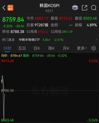 韩国股市突发跳水