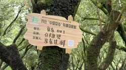 美国新反恐战略称欧洲为&ldquo;滋生恐怖威胁的温床&rdquo