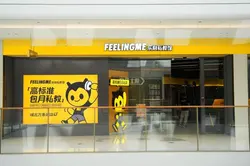 46 万家离场！健身工作室一年腰斩，带店加盟是解药还是陷阱？深度揭秘行业残酷真相