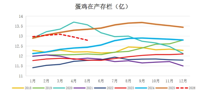 蛋价破5,淡季走强直逼猪肉