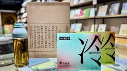 伊朗谴责以军持续袭击黎巴嫩多地