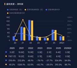 高纯产品卡位AI，盛和资源：进击的稀土加工厂！