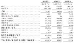 4400亿资金，哄抢物理AI第一股