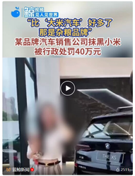 “比’大米汽车’好多了，那是杂粮品牌”，某品牌汽车销售公司抹黑小米，被行政处罚40万元