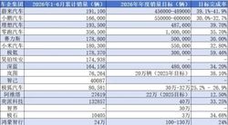 17家新能源车企上半年销量完成率：仅极氪过半，多家低于30%