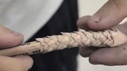 孩子铅笔削成“龙鳞”惊艳全网，妈妈气笑不知该打该夸，神评：天赋是天才还是拆家怪