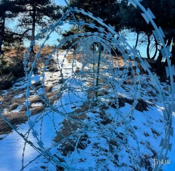 游侠网3