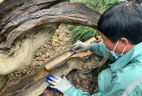 游侠网5