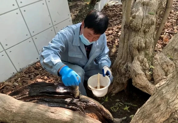 游侠网6