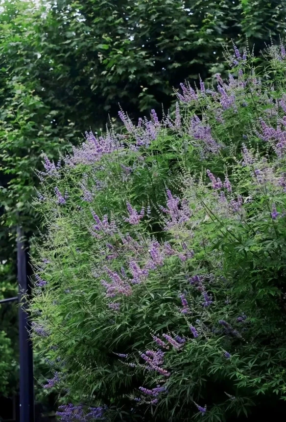 游侠网7