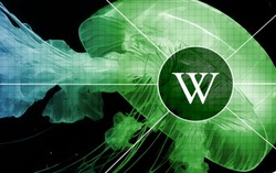 维基百科不会让AI参与词条编辑：AI幻觉依然非常严重