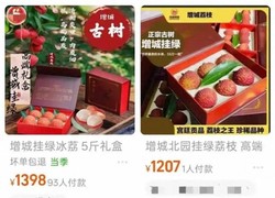 6颗480元！荔枝之王增城挂绿引热议 曾有一颗拍出55万
