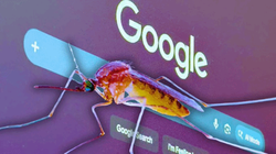 谷歌将在美国投放6400万只蚊子 网友质疑搞秘密实验