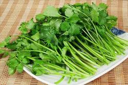 香菜竟是餐桌上的消炎药！常吃可改善代谢、减轻疲劳