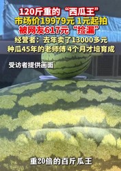 120斤"西瓜王"仅617元成交!买家花3个瓜的钱捡漏巨瓜