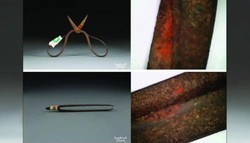 中国600年前掌握化学麻醉技术！明代手术器械检出狼毒