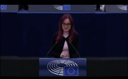 欧洲女议员语出惊人！购买≠拥有那盗版便不算偷窃